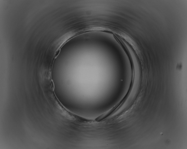 X0000091701193200708241216