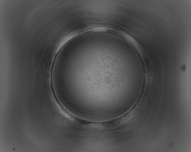 X0000091701194200708241216