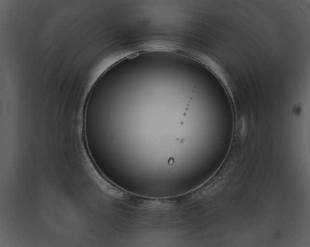 X0000091701195200708241216