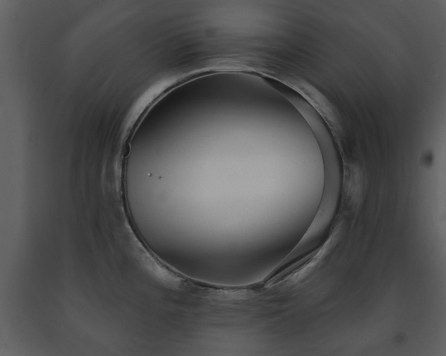 X0000091701196200708241216
