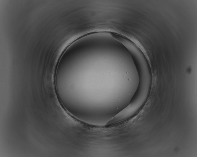 X0000091701197200708241216