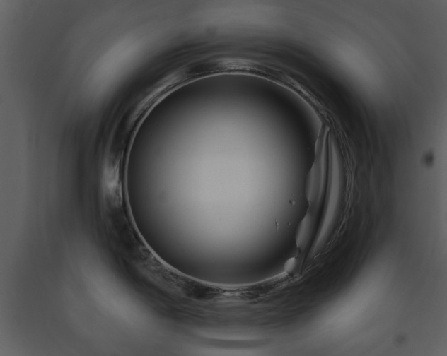 X0000091701198200708241216