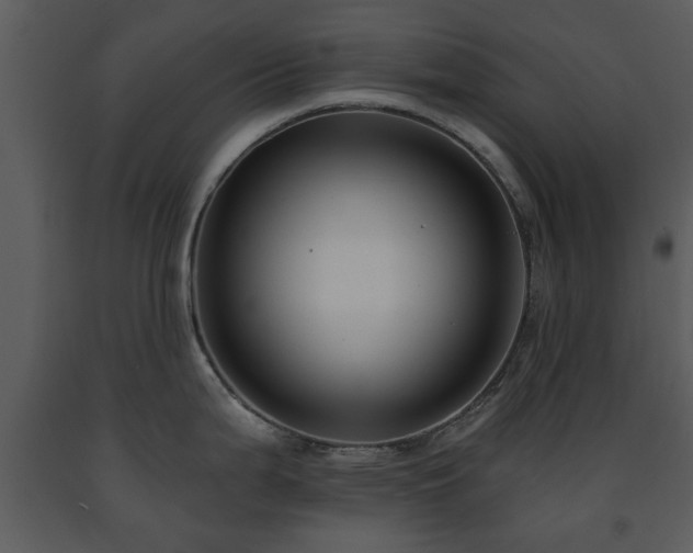 X0000091701199200708241216