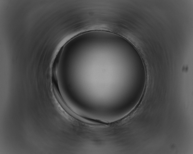 X0000091701200200708241216