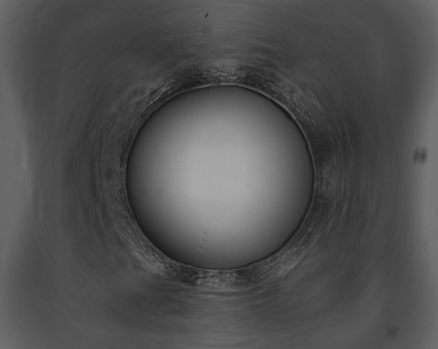 X0000091701201200708241215
