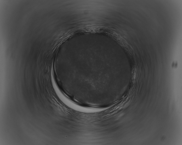 X0000091701202200708241215