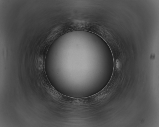 X0000091701203200708241215