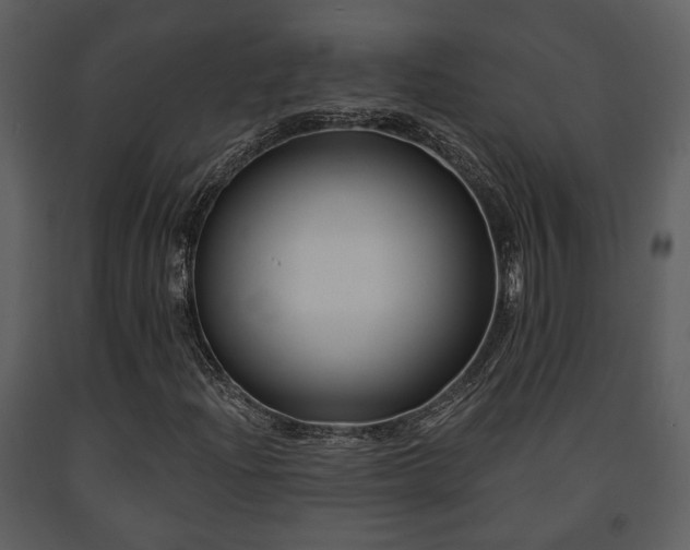X0000091701204200708241215