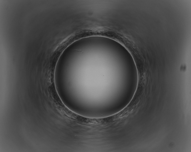 X0000091701205200708241215