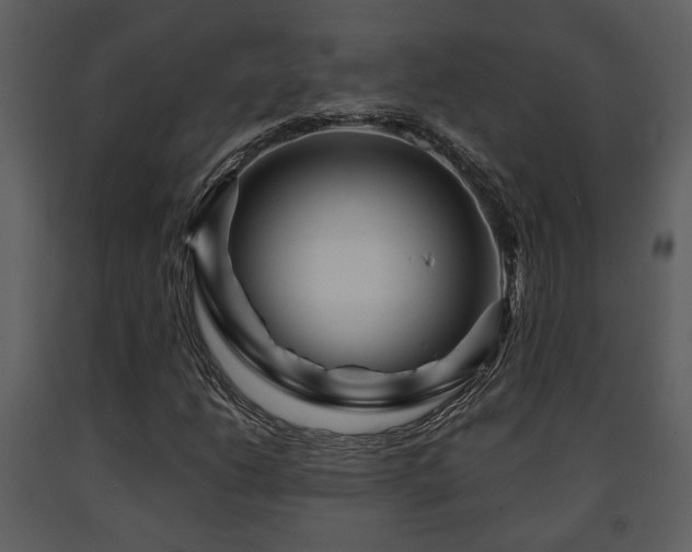 X0000091701206200708241215