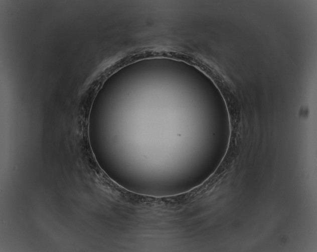 X0000091701207200708241215