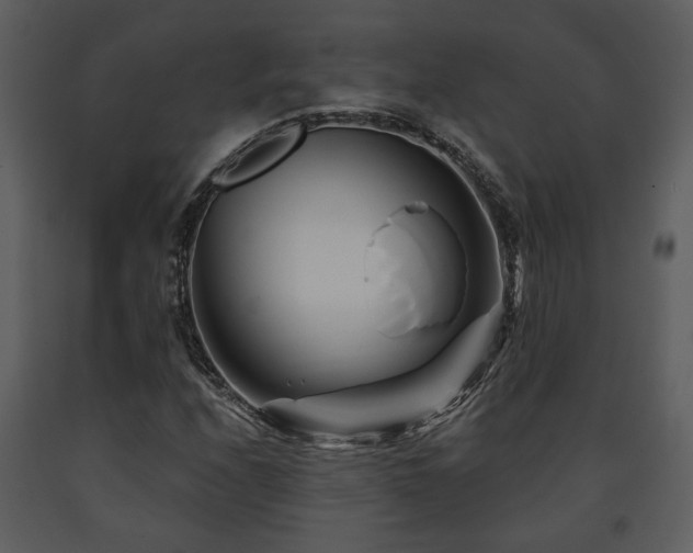 X0000091701208200708241215