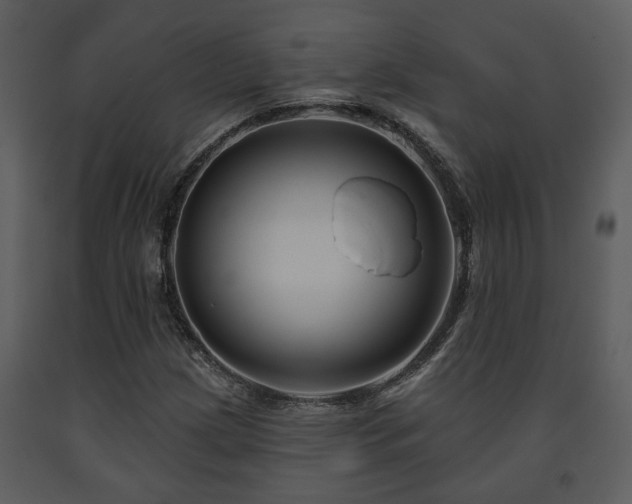 X0000091701209200708241215