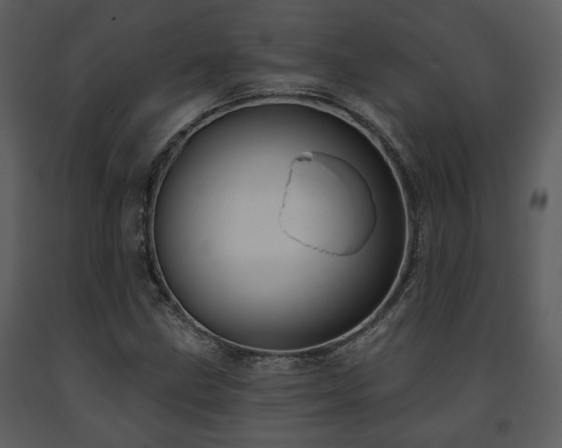 X0000091701211200708241215