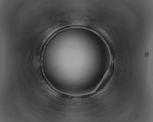 X0000091701212200708241215