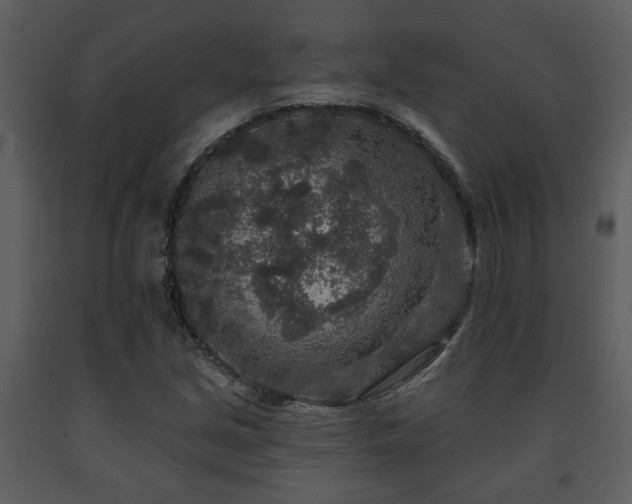 X0000091701213200708241215