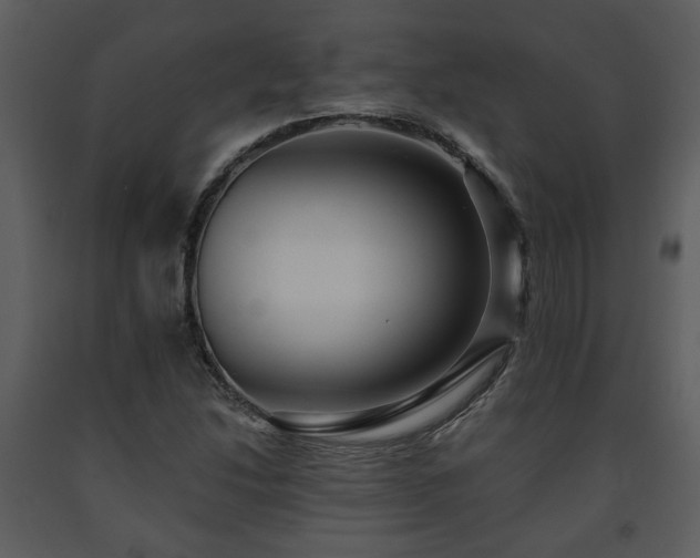 X0000091701214200708241215