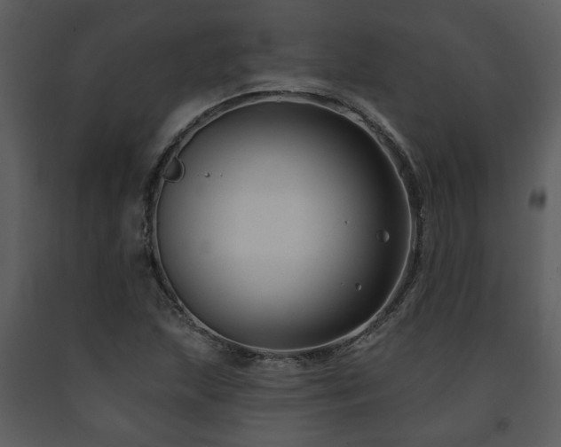 X0000091701215200708241215
