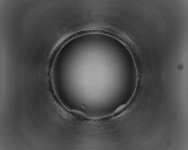 X0000091701216200708241216
