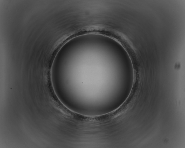 X0000091701217200708241216