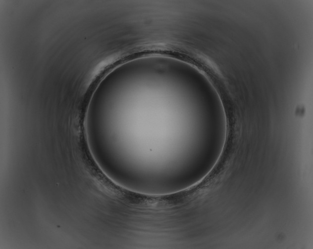 X0000091701218200708241216