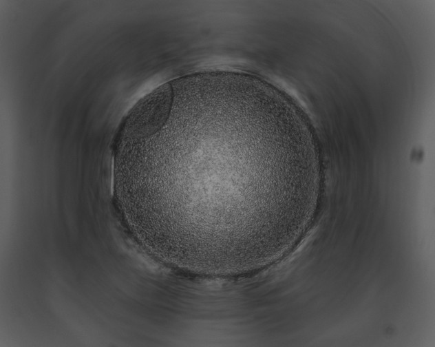 X0000091701219200708241216