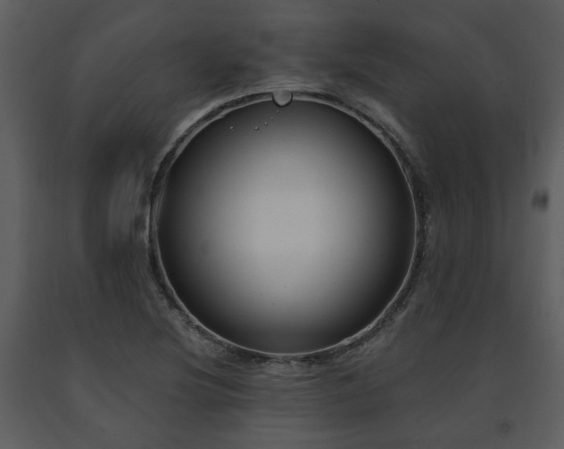 X0000091701220200708241216