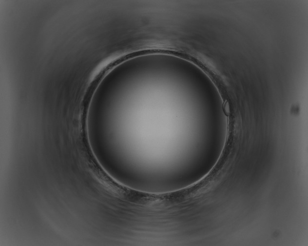 X0000091701222200708241216