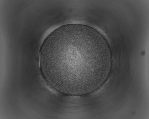 X0000091701223200708241216