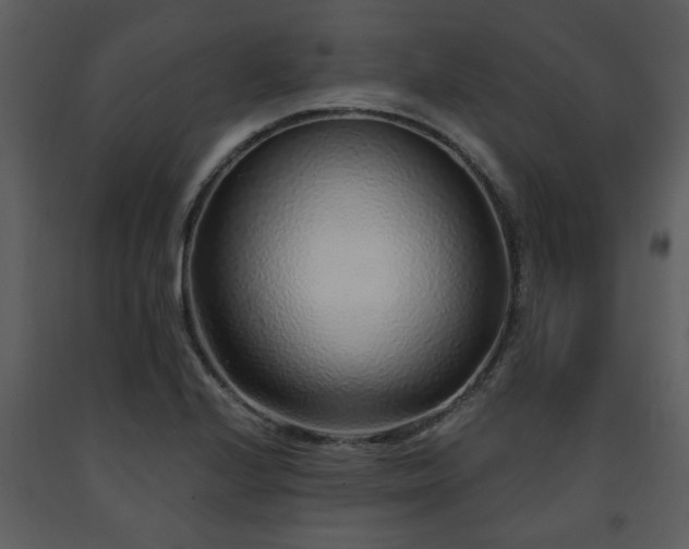 X0000091701224200708241216
