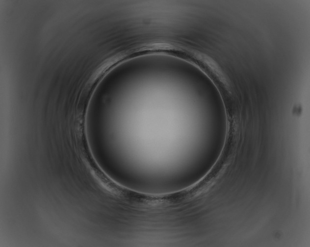 X0000091701225200708241216