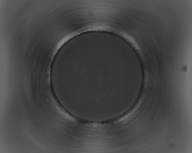 X0000091701226200708241216