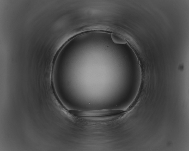 X0000091701228200708241216