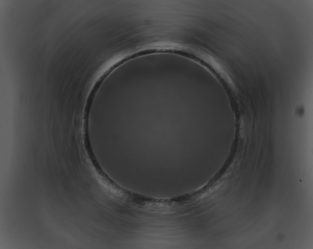 X0000091701229200708241216