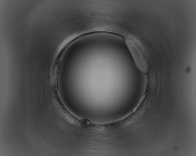 X0000091701230200708241216