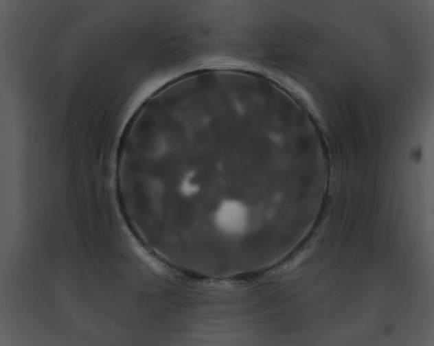 X0000091701231200708241216