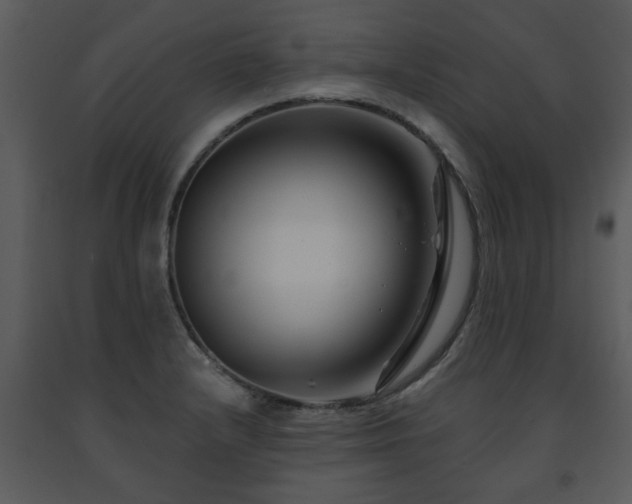 X0000091701232200708241216