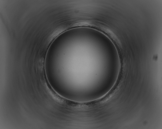 X0000091701233200708241216