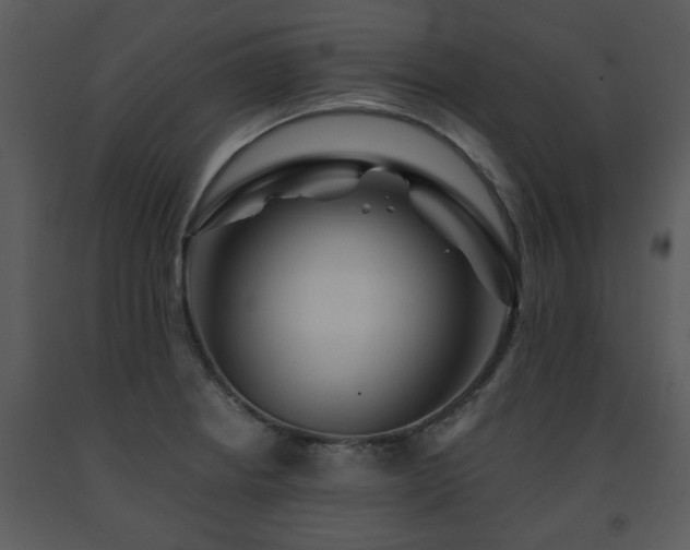 X0000091701234200708241216