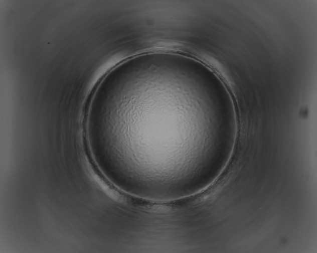 X0000091701235200708241216