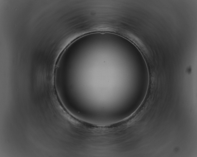X0000091701236200708241216