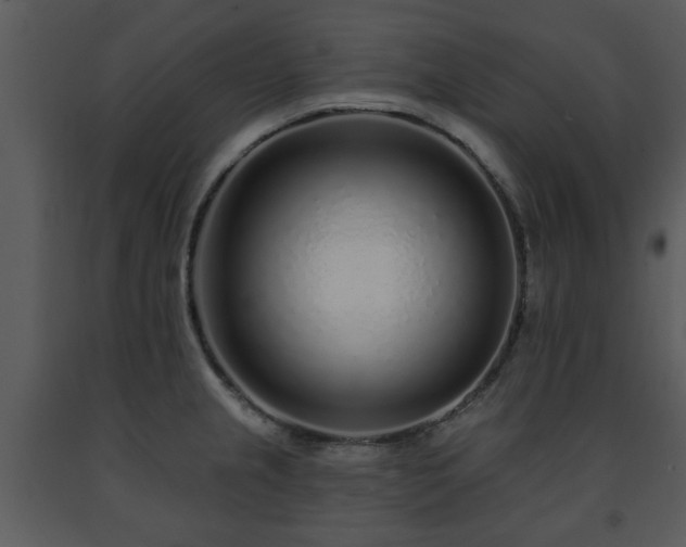 X0000091701237200708241216