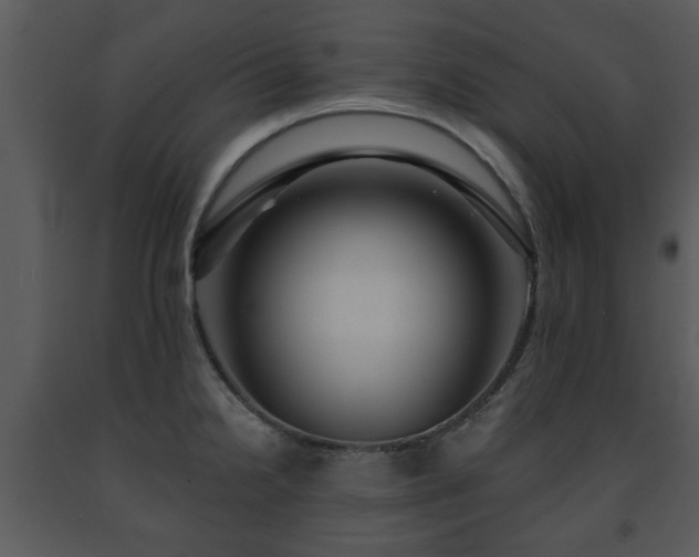 X0000091701238200708241216