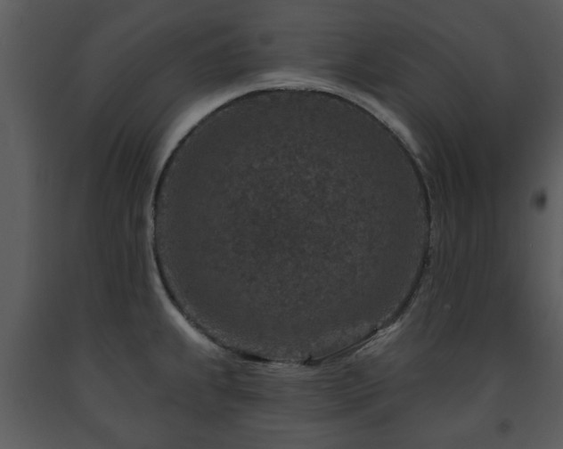X0000091701239200708241216