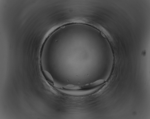 X0000091701240200708241216