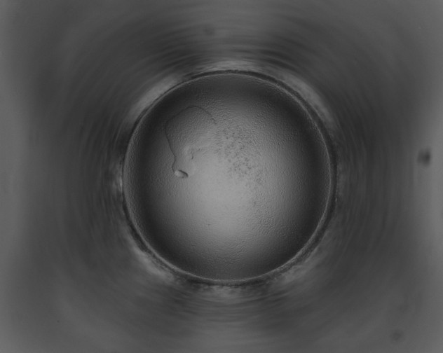 X0000091701241200708241216