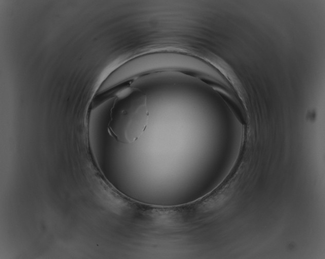X0000091701242200708241216