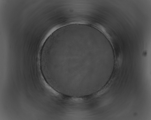 X0000091701243200708241216