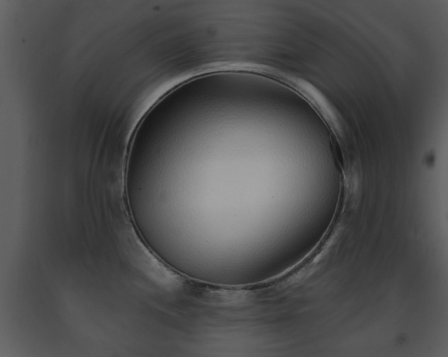 X0000091701244200708241216