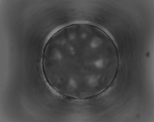 X0000091701245200708241216